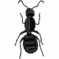 Insectes Embroidery Design 4 Insectes Embroidery Design 4